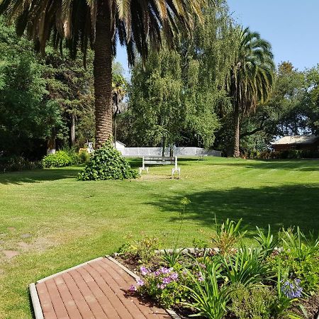 Lodge Mirador Chillan Exterior photo