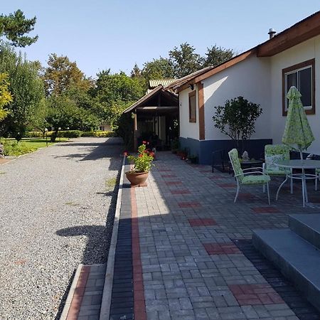 Lodge Mirador Chillan Exterior photo