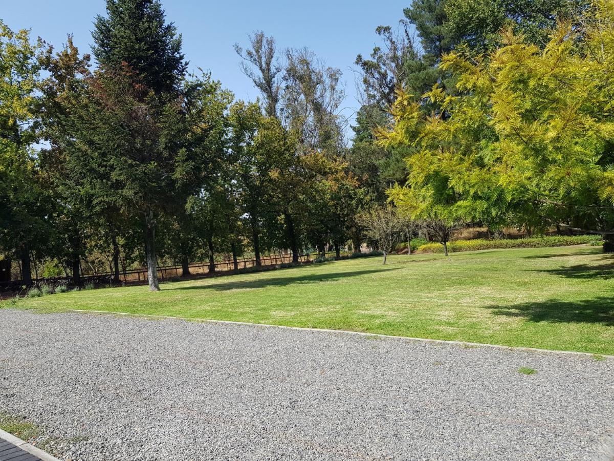 Lodge Mirador Chillan Exterior photo
