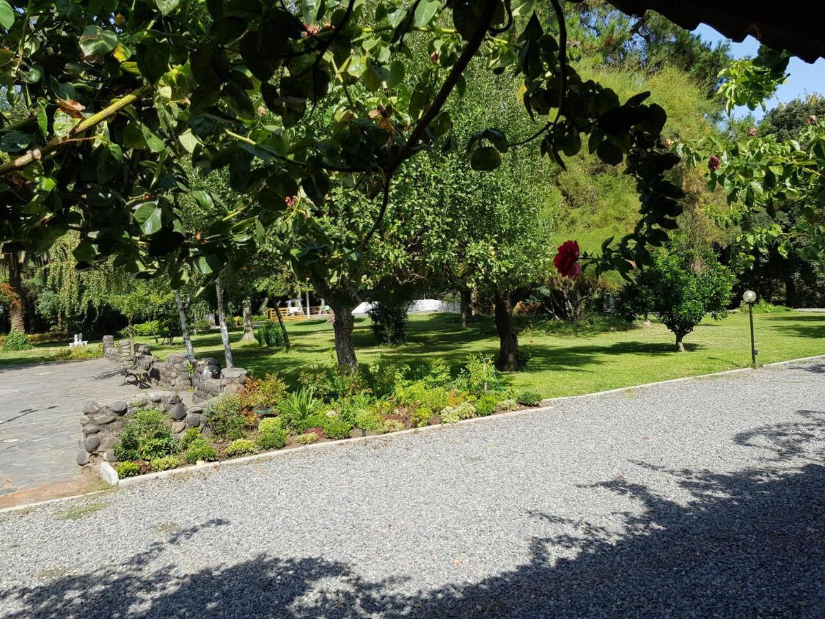 Lodge Mirador Chillan Exterior photo