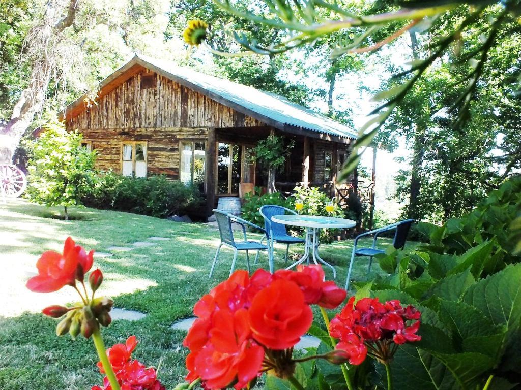 Lodge Mirador Chillan Exterior photo
